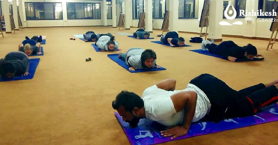 Yoga Teacher Training In Rishikesh India 