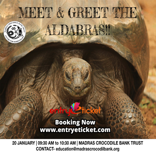 Meet and Greet the Aldabras - Entryeticket