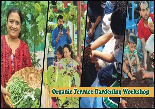 Workshop on Kitchen Gardening