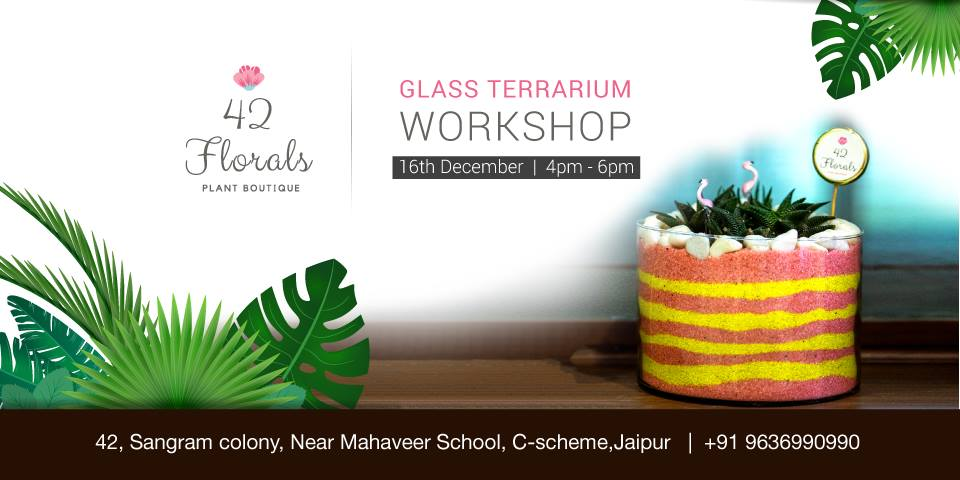 DIY Glass Terrarium Workshop