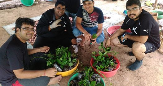 Organic Kitchen Gardening and Home Composting Workshop