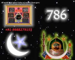 love problem solution rajswami +91-9988279155