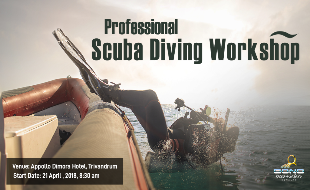 Professional Scuba Diving Workshop