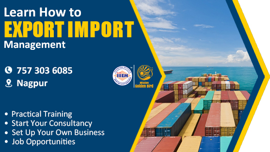 Start and Set up Your Own Import and Export Business Nagpur