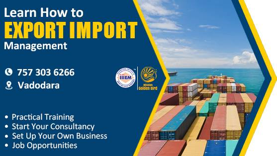 Start Set up Your Own Import and Export Business - Vadodara