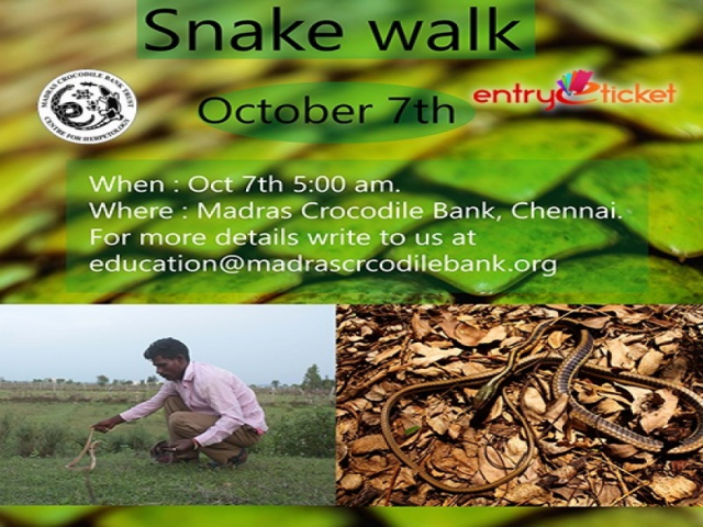 SNAKE WALK ON OCTOBER 2018