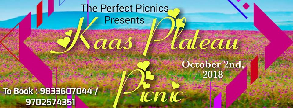 Kaas Plateau Picnic