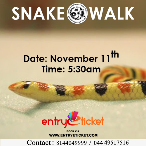 Snake Walk on November 2018 | Entryeticket