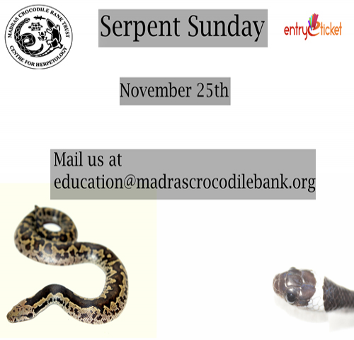 Serpent Sunday 2018  | Entryeticket