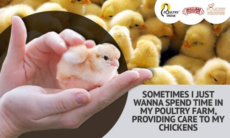 Poultry Farming Exhibition from 28 Nov to 30 Nov 2018