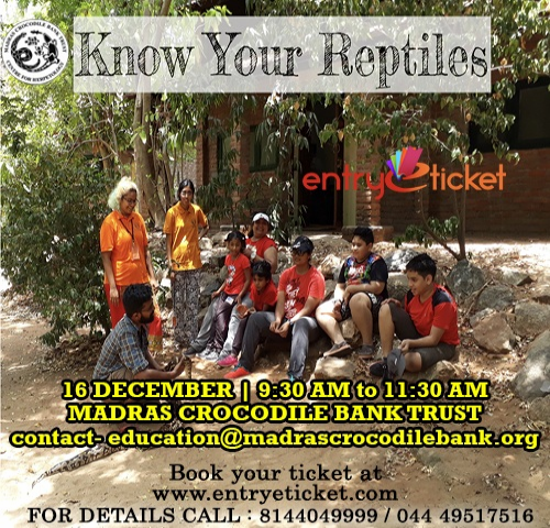 Know Your reptiles | Entryeticket