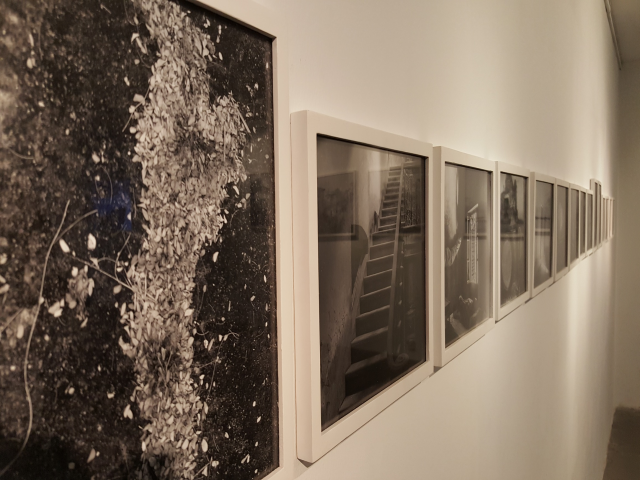 Exhibition 'Displace