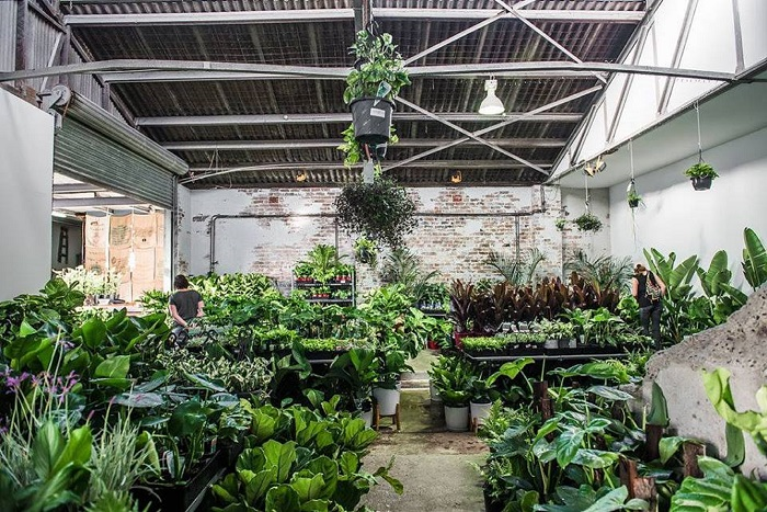 Sydney - Huge Indoor Plant Warehouse Sale - Easter Wonderland