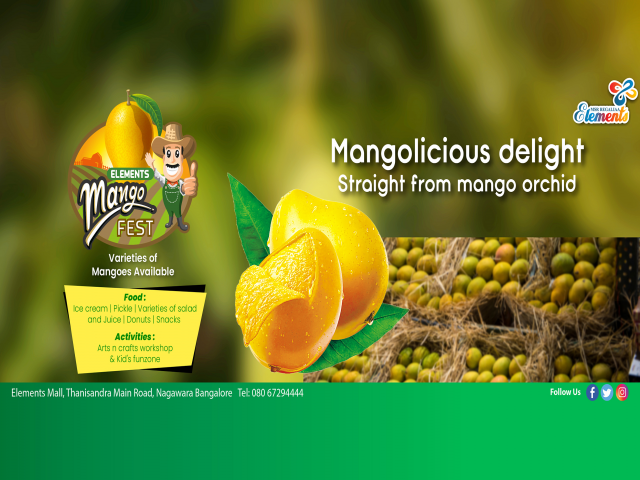 Elements Mango Fest