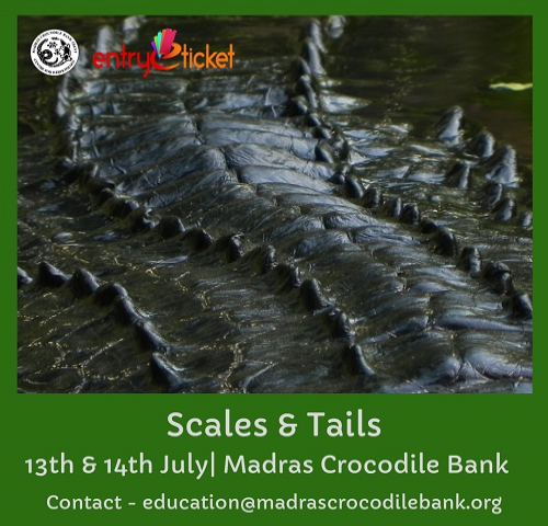 Scales and Tails  - Entryeticket