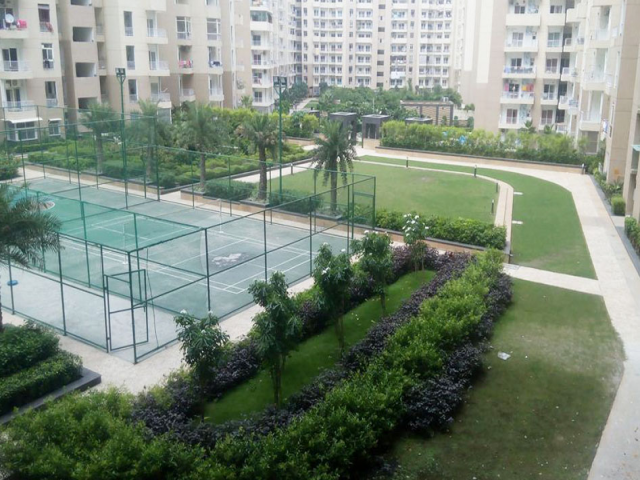 Aggrandize your living standard with Ajnara Daffodil Noida