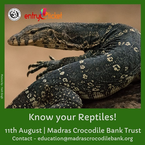 Know Your Reptile