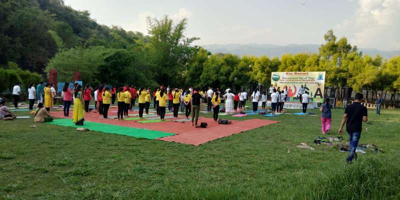 200 Hour Yoga TTC Rishikesh