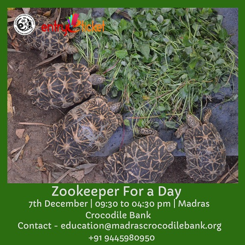 Zookeeper For A Day