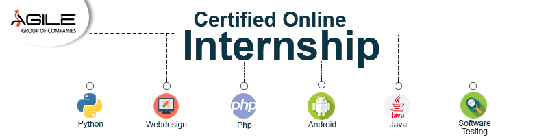 Certified Online Internship at Agile Academy