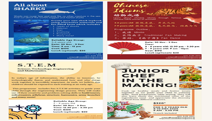 Holiday Programme: November 2020