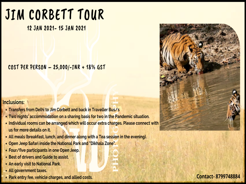Jim Corbett Wildlife Photography Tour 2021