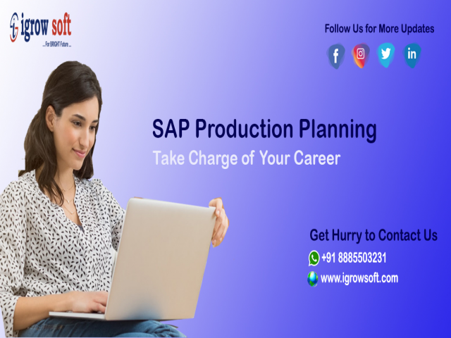 SAP PP training
