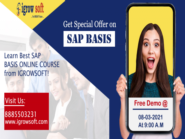 Sap basis training in Hyderabad