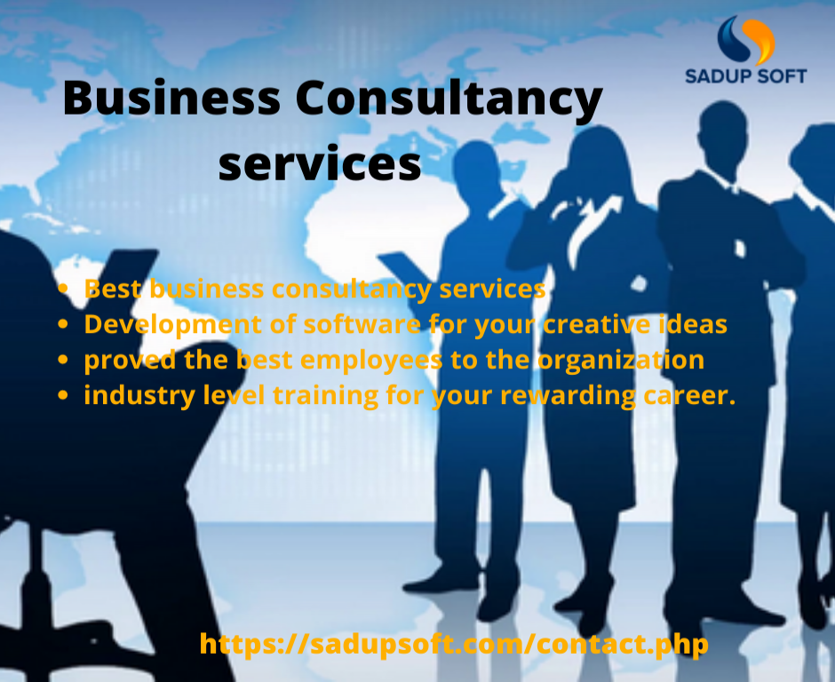Business Consultancy services