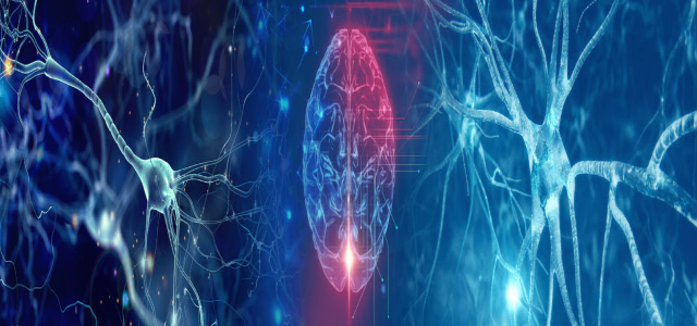 International Conference on Dementia and Dementia Care