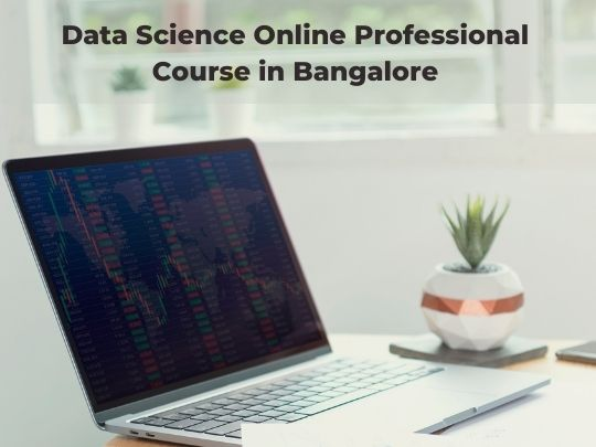Data Science Online Professional Course in Bangalore
