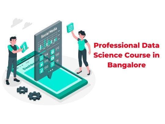 Professional Data Science Course in Bangalore