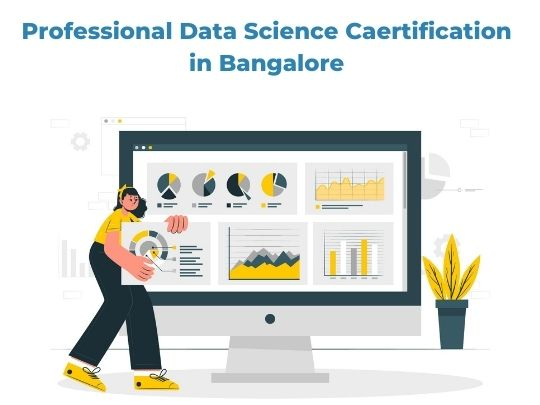 Professional Data Science Certification in Bangalore