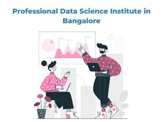 Professional Data Science Institute in Bangalore
