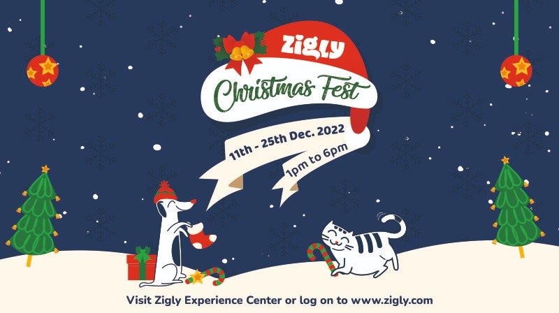 Give Your Fur Buddies All The Cheerful Vibes With Zigly Christmas Fest!