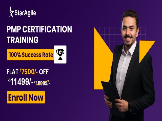 Online PMP Certification Training