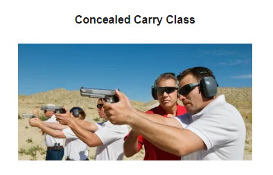 Beginner/Self Defense Pistol