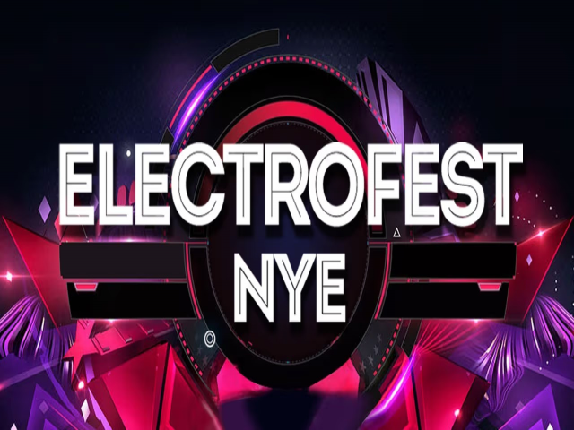 ELECTROFEST VADODARA
